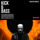 Rasster samples kick   bass cover