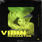 Samplestar vibin reggaeton cover