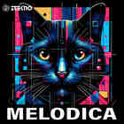 Zt melodica 1000 loopmasters