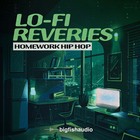 Lofireveries 1000 loopmasters